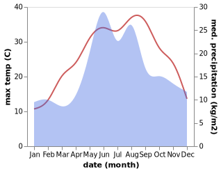 temperature and rainfall during the year in Abrykosivka