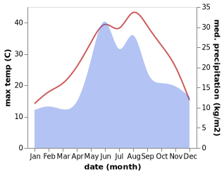 temperature and rainfall during the year in Amurs'ke