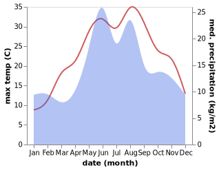 temperature and rainfall during the year in Holuba Zatoka