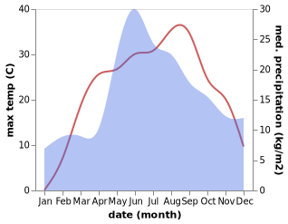 temperature and rainfall during the year in Buki