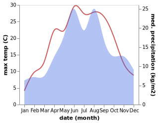 temperature and rainfall during the year in Rozgirche