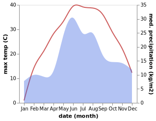 temperature and rainfall during the year in Belaya Krinitsa