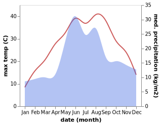 temperature and rainfall during the year in Chaplynka