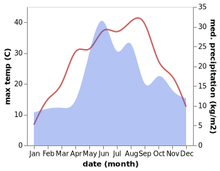 temperature and rainfall during the year in Nyzhni Sirohozy