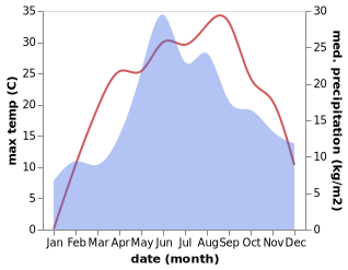 temperature and rainfall during the year in Chernyy Ostrov