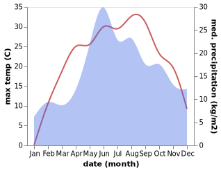 temperature and rainfall during the year in Novoselitsa