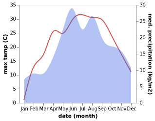 temperature and rainfall during the year in Bryukhovychi