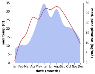 temperature and rainfall during the year in Busk