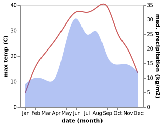 temperature and rainfall during the year in Barmashovo