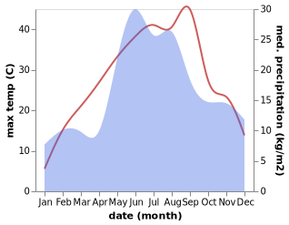 temperature and rainfall during the year in Novosvetlovka