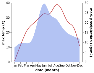 temperature and rainfall during the year in Pasytsely
