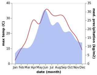 temperature and rainfall during the year in Berezne