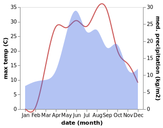 temperature and rainfall during the year in Mezenevka