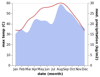 temperature and rainfall during the year in Madinat Zayid