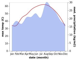 temperature and rainfall during the year in Muzayri