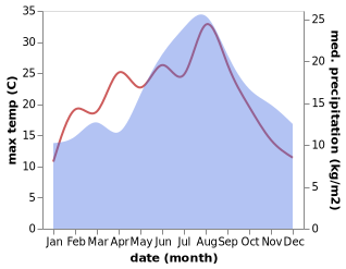 temperature and rainfall during the year in Barton Mills