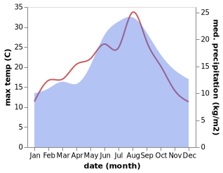 temperature and rainfall during the year in Bungay