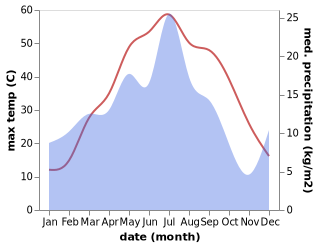 temperature and rainfall during the year in Mang'it Shahri