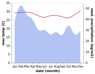 temperature and rainfall during the year in Isangel