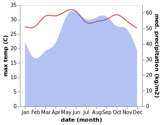 temperature and rainfall during the year in Lagi