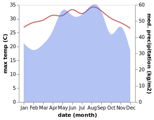 temperature and rainfall during the year in Binh Son