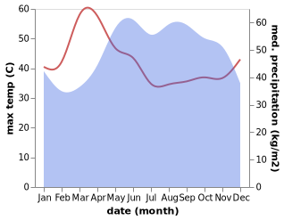 temperature and rainfall during the year in Sa Dec