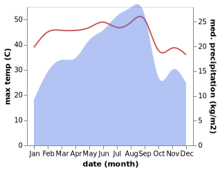 temperature and rainfall during the year in Said