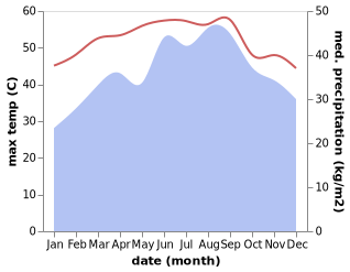 temperature and rainfall during the year in Dhubab