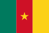 Cameroon Flag Icon