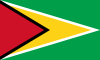 Guyana Flag Icon