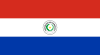 Paraguay Flag Icon