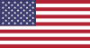 United States Flag Icon